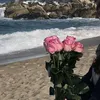 dofvlqftoqu