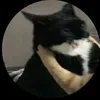 ardajj3