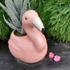 funkyflamingo5