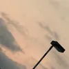 randomz_xx0