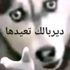 user1767203708460