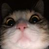 jhgk.bjhnk