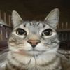 darthcat5