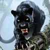 jacyr.alves.de.je