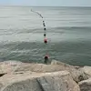 nick.cosentino2