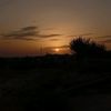 ashor937