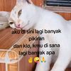juni4863