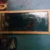 karen_menezes442