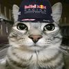 the.boy.f1