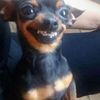 stormi.lawrence2121