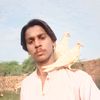 sajawal.ali3859
