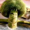 travis.lamarcube