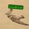user9508533761615
