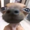 yknwkyno