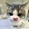 the_miaw7