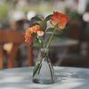 ririsscafe