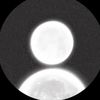 lyna_f8