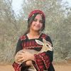 saeedbaloch5473