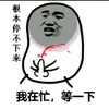 mastexpzqtf