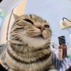 ninnd63