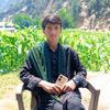 amjadali034082