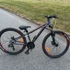 seiber58
