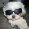 daisyclrx