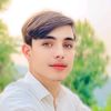 zulfiqarkhan5495