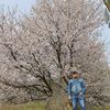 user92122272520633