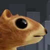 dfeshka