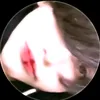 5oop242