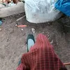 malyn.ngapala