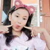 paijan9118