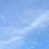 maimai13066