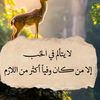 user1382698462852