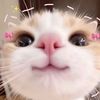 made_byenha07
