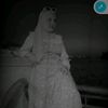 user6165031901261