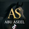 a_f_aseel