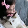mlx_li