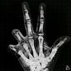 sequi_somnia.latin_