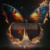 b97628838gmailcom