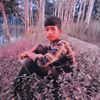 al.mamum.pk
