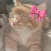 mandyyvtoria