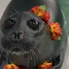 alexluvssealss