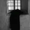 vippljwzsre