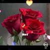 user7140530882059