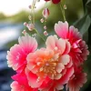 abdulla_palani4