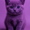 gati0230