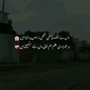 apnabhaikishahzadi55667