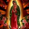 saravicente918